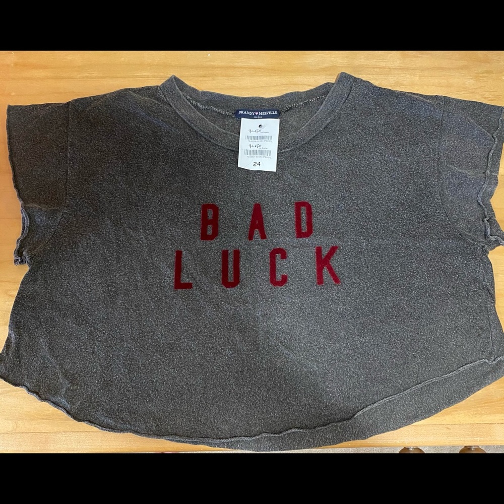 Brandy Melville Cropped Tee
